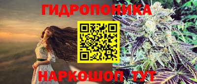2c-b Новозыбков