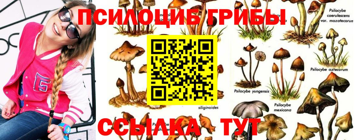 Галлюциногенные грибы Magic Shrooms Рубцовск