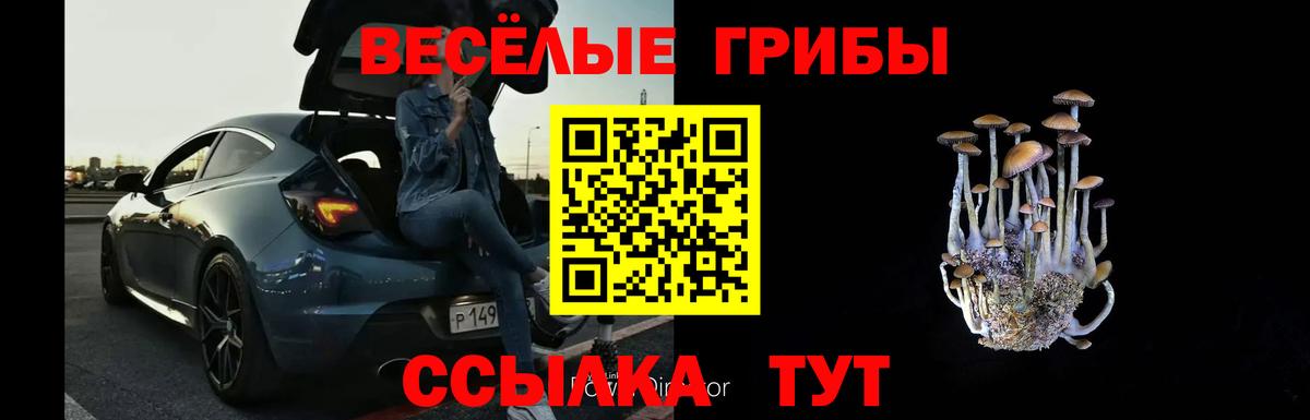 Рубцовск  купить   Вход с VPN  Галлюциногенные грибы GOLDEN TEACHER 